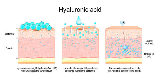 Understanding Hyaluronic Acid Molecular Weights: The Complete Guide to Choosing the Right HA for Your Skin