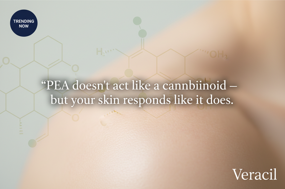 PEA (Palmitoylethanolamide) for Skin: The Endocannabinoid-Adjacent Anti-Inflammatory Going Viral for Eczema and Sensitive Skin