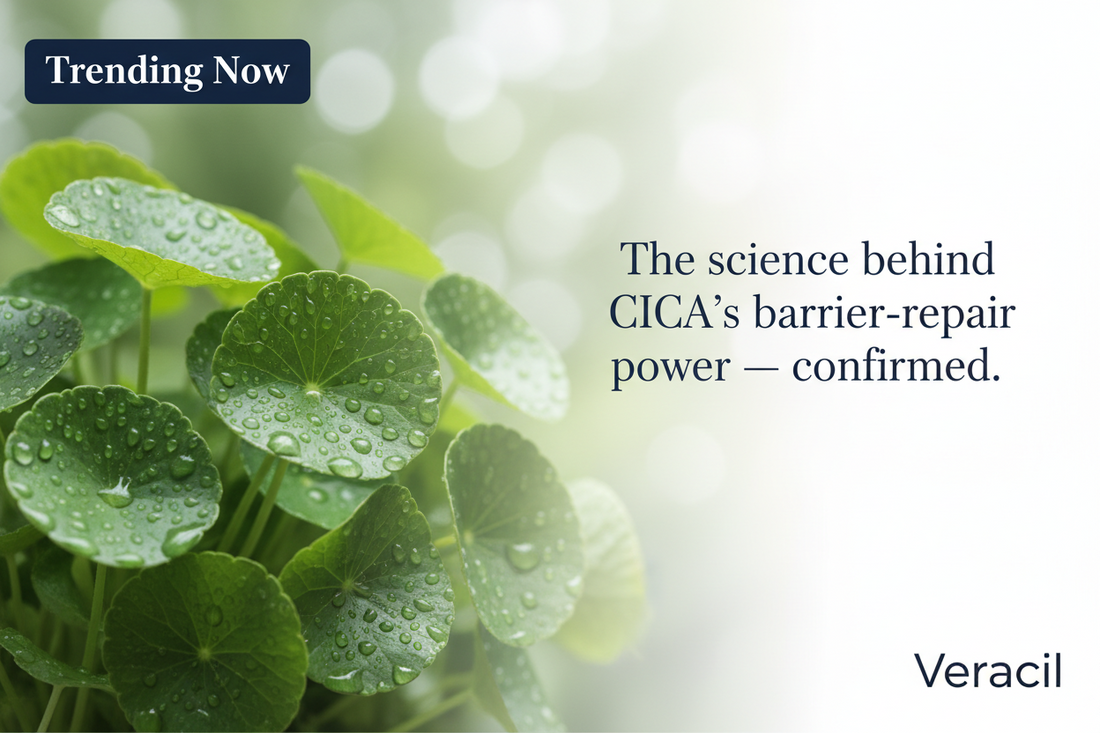 The CICA Protocol: Centella Asiatica for Sensitive, Reactive & Barrier-Damaged Skin