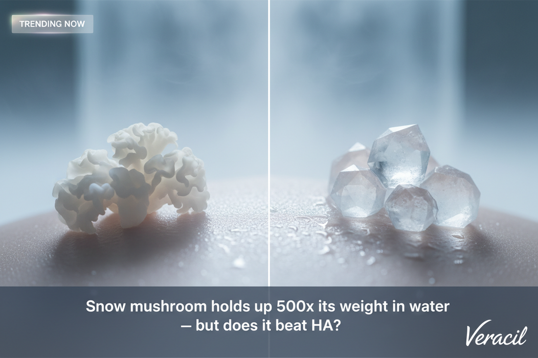 Trending Now: Snow Mushroom vs. Hyaluronic Acid — Which Hydration Ingredient Actually Wins?