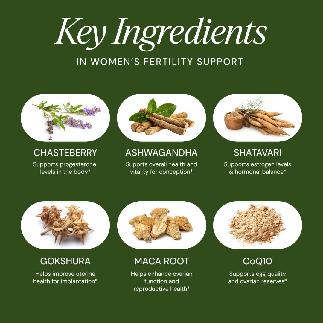 Women's Fertility Support - Natural Hormone Balance & Egg Health