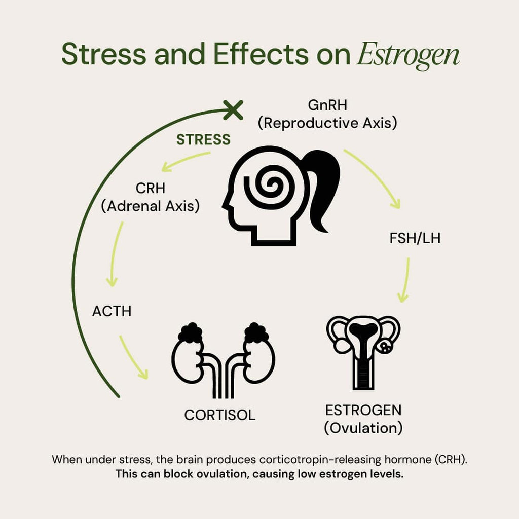 HORMONE & MOOD SUPPORT