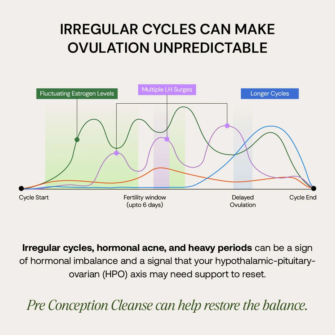 PRE-CONCEPTION CLEANSE
