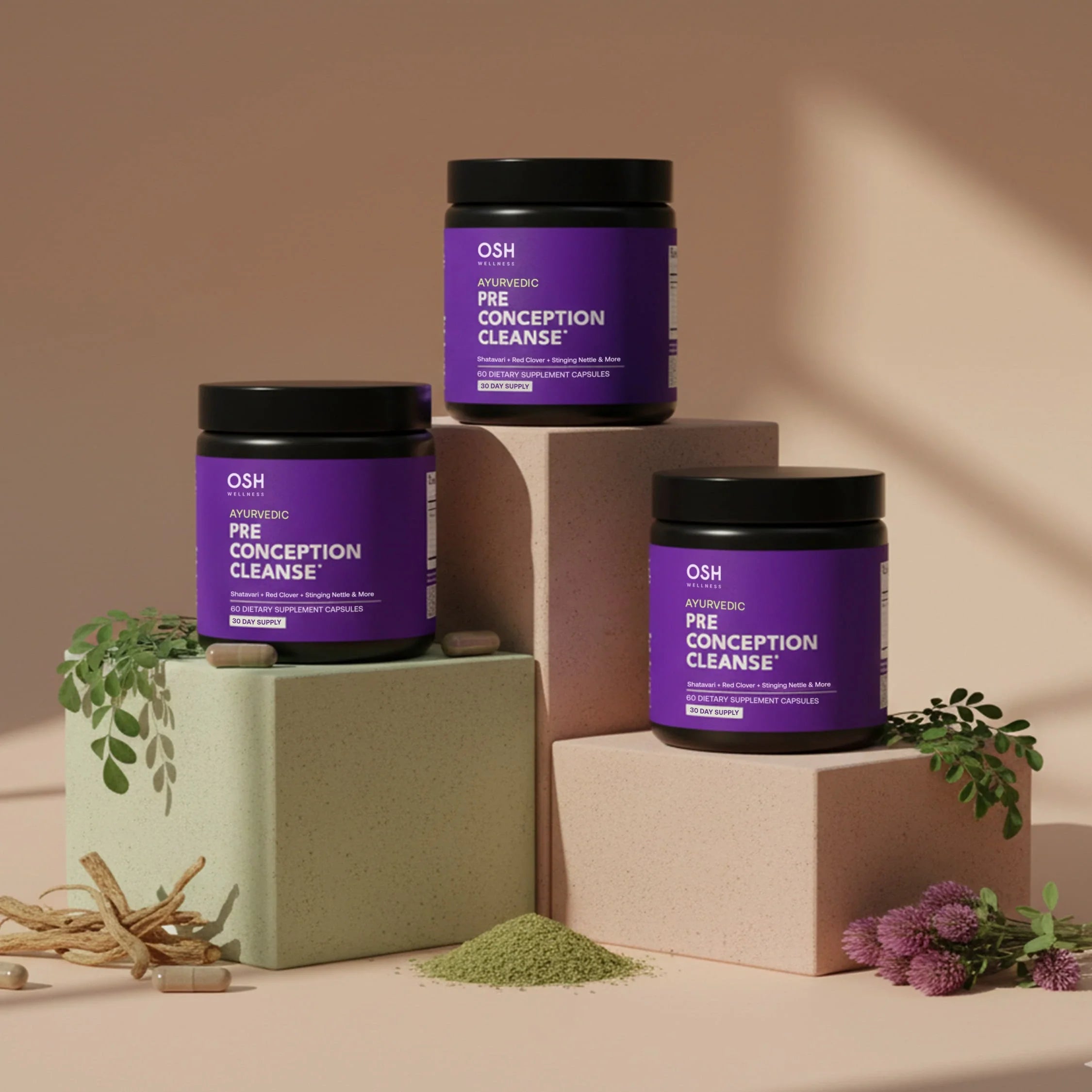 PRE-CONCEPTION CLEANSE