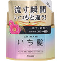 Kracie Ichikami Premium Hair Treatment Mask – Deep Repair for Damaged Hair