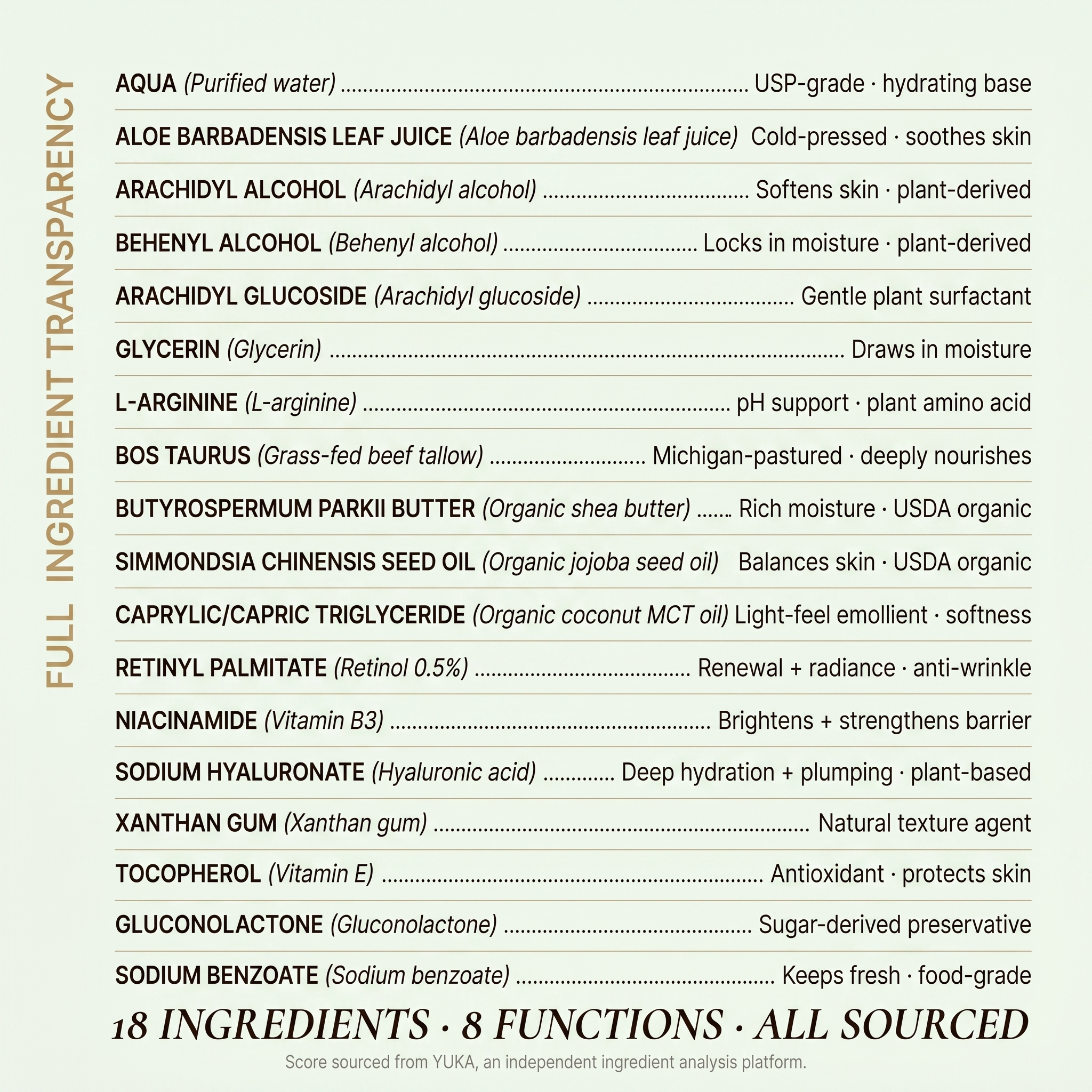 Retinol Lotion – Korean-Inspired Vitamin A Renewal Lotion