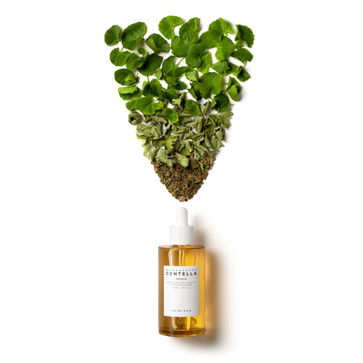 SKIN1004 Madagascar Centella Ampoule – Soothing & Hydrating Sensitive Skin Serum (100ml)