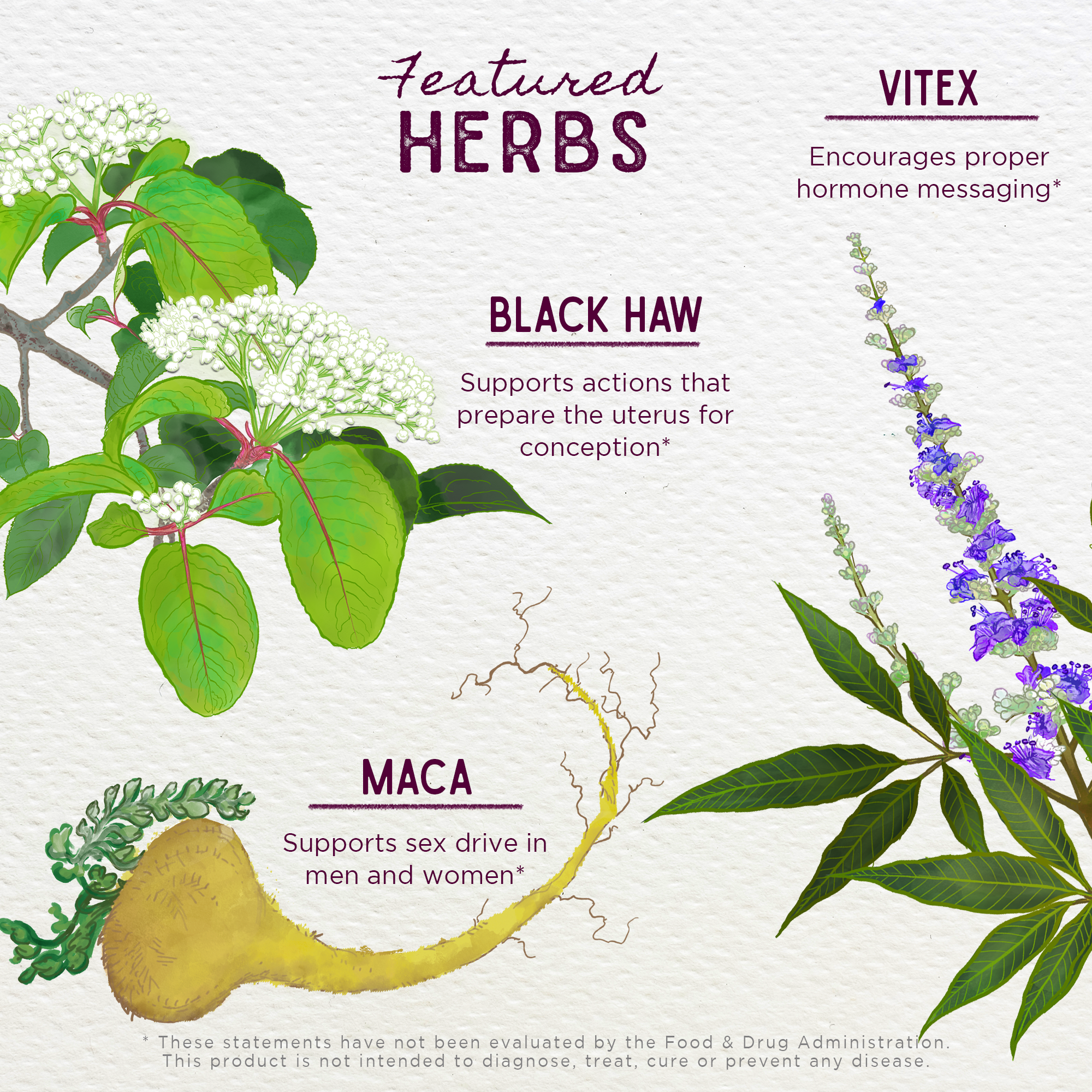 Fertility Prep Conception Support - Herbal Tincture