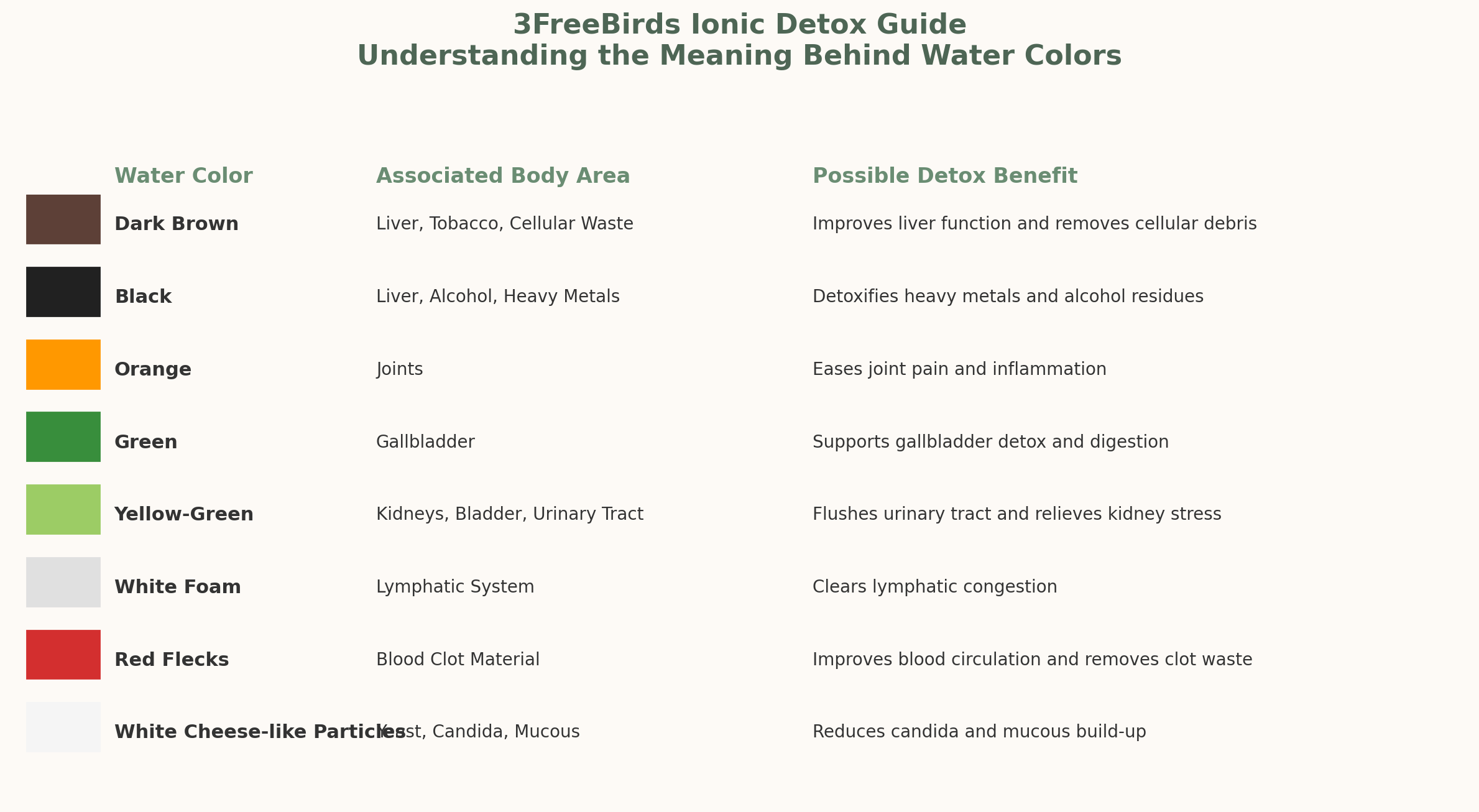 30 minute Ionic Detoxification