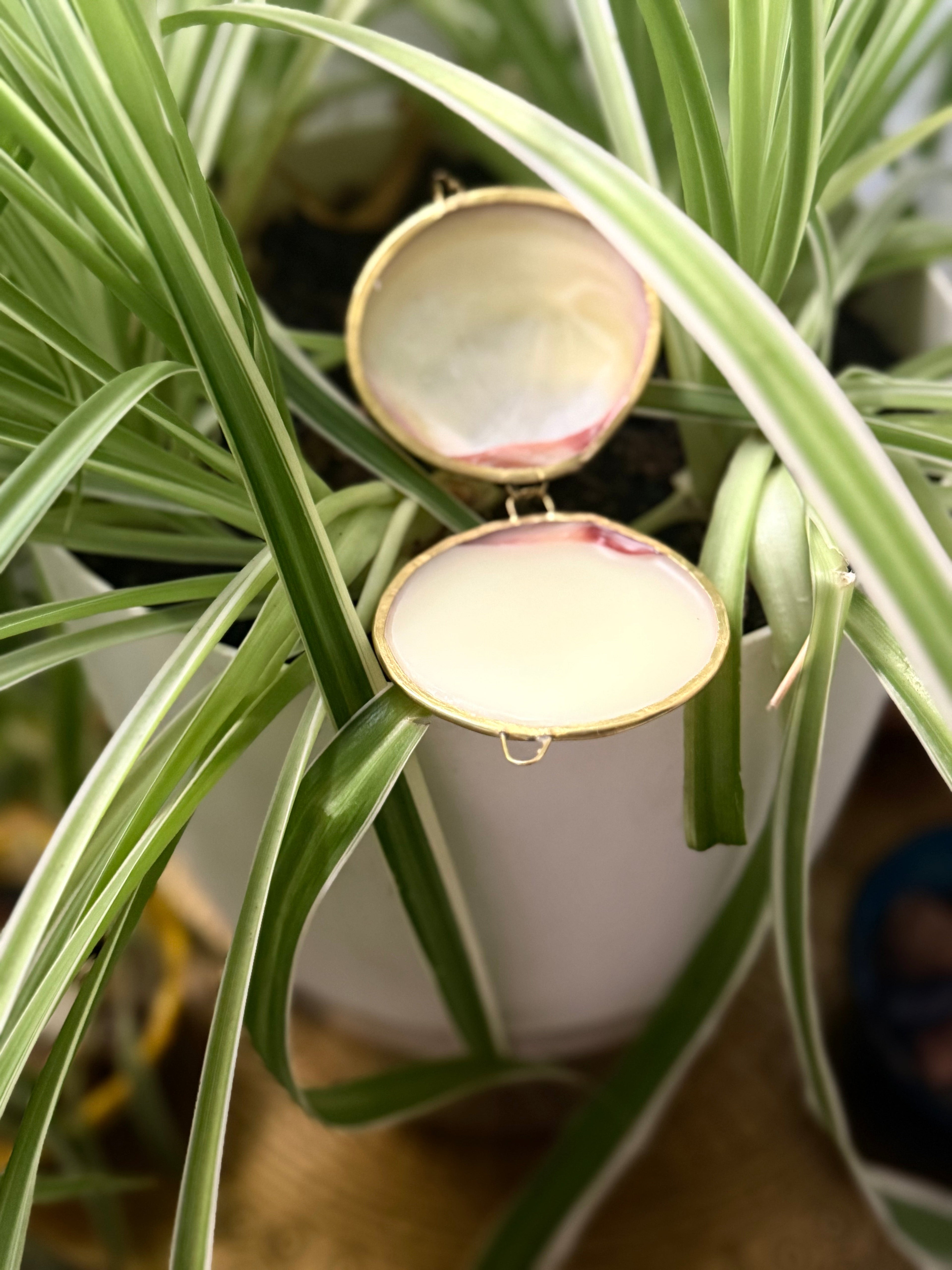 Prickly Pear & Magnolia Restorative Body Balm