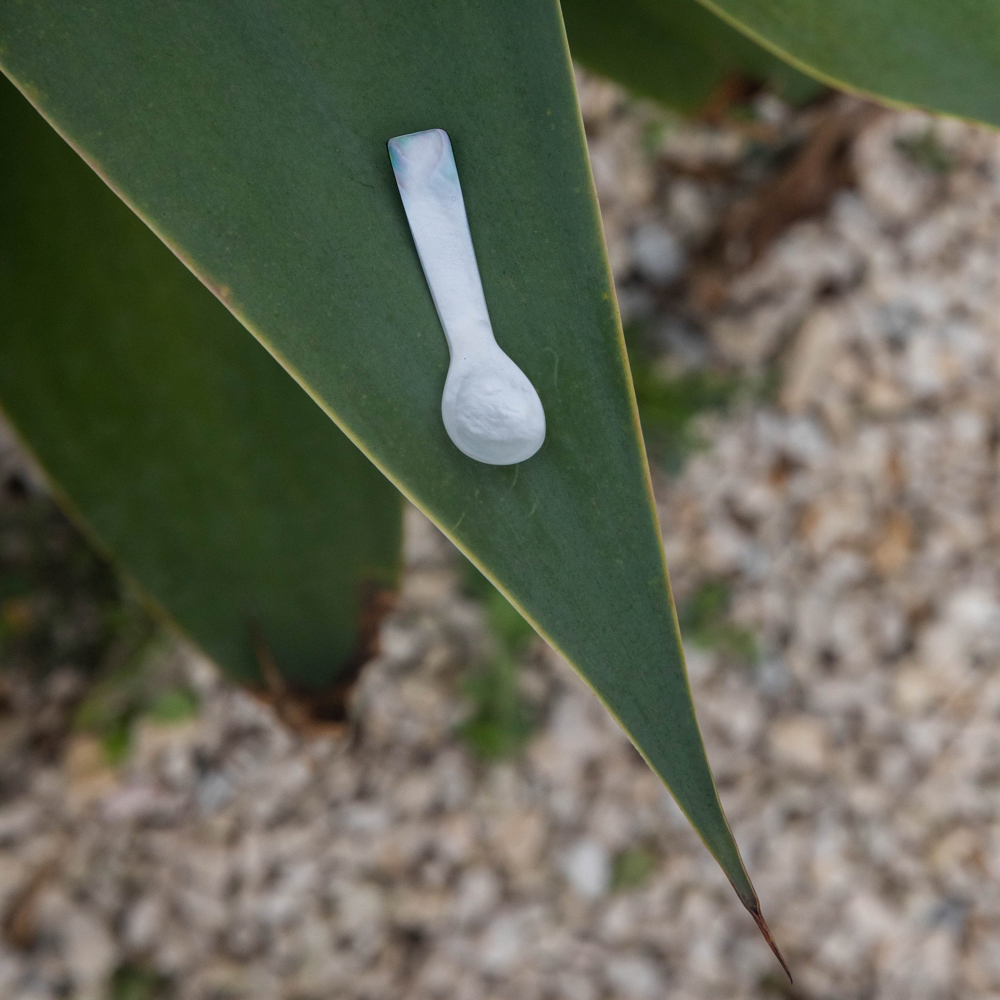 Body Butter + Mother of Pearl Spoon Gift Set