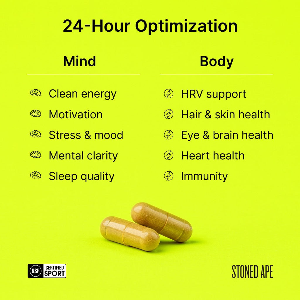 Nootropack — Daily Nootropic Bundle for Energy, Mood & Cognition