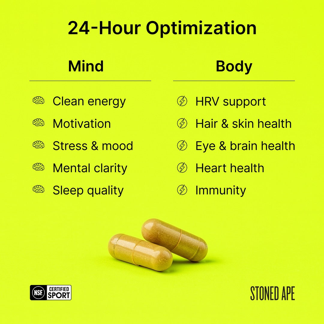 Nootropack — Daily Nootropic Bundle for Energy, Mood & Cognition