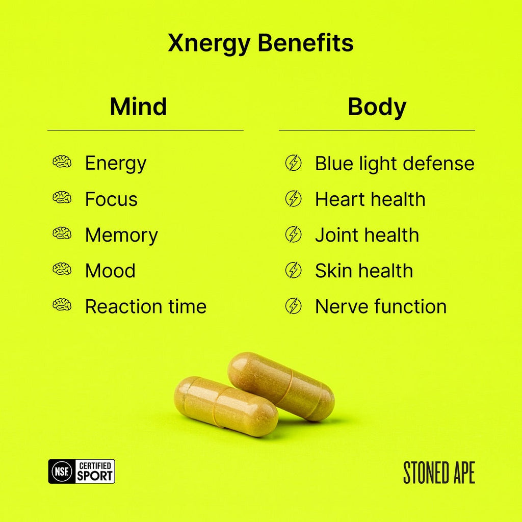 AM/PM Nootropic Bundle – Complete Day & Night Cognitive Support | Stoned Ape, Inc