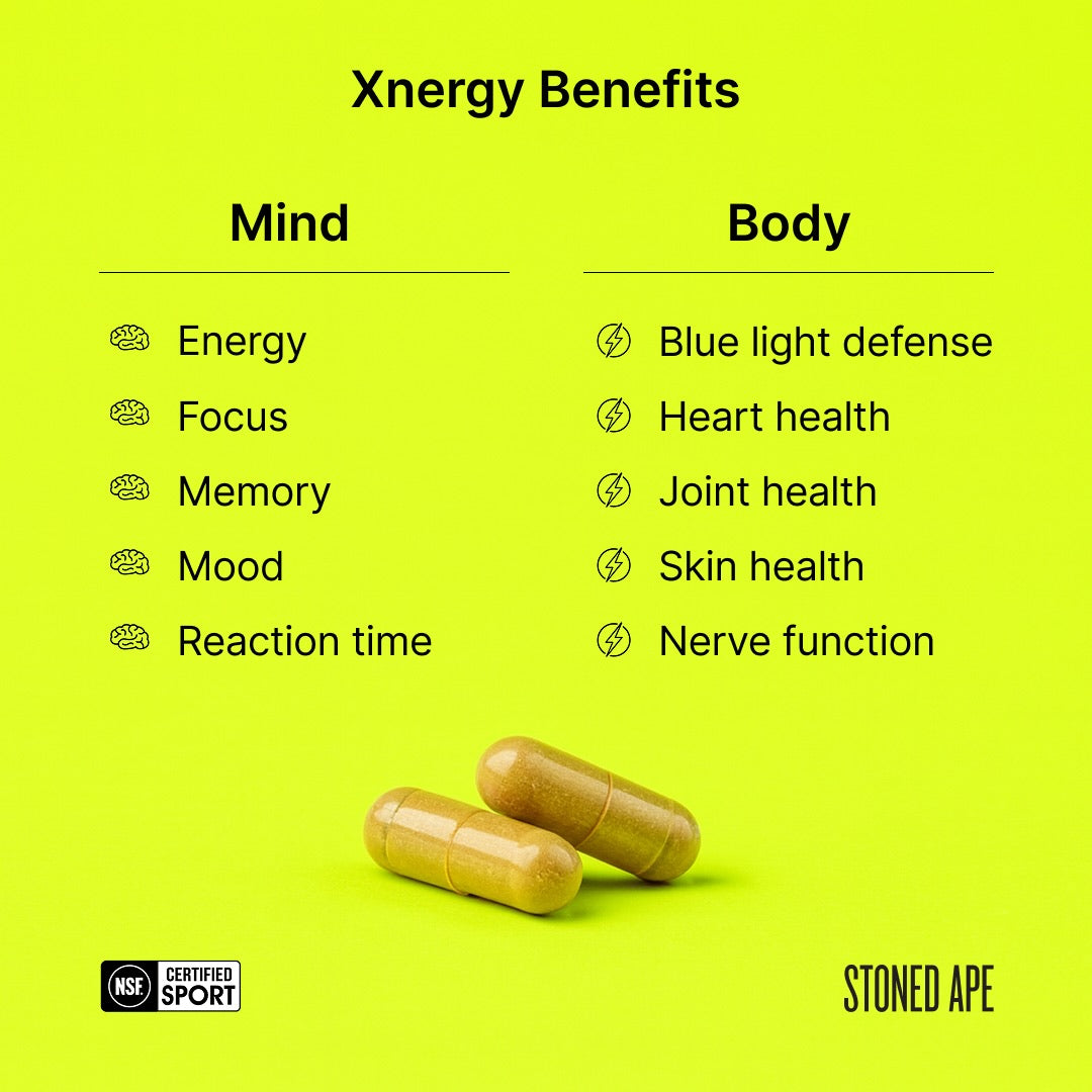 AM/PM Nootropic Bundle – Complete Day & Night Cognitive Support | Stoned Ape, Inc