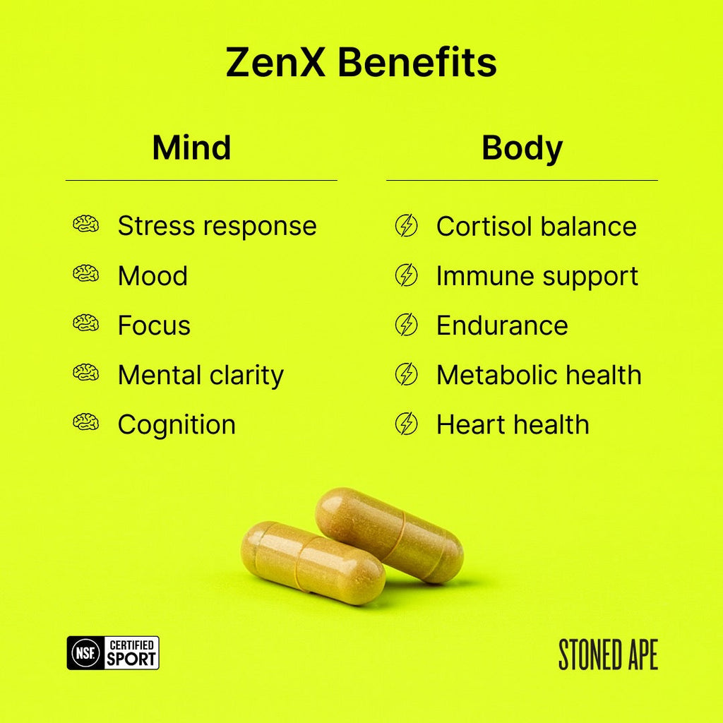 Recovery Bundle – PM Nootropic & Sleep Aid Stack | Stoned Ape, Inc
