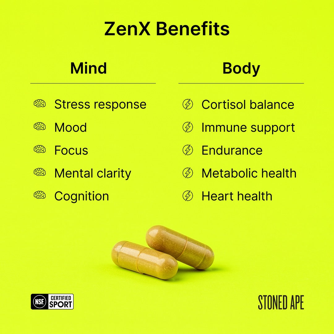Recovery Bundle – PM Nootropic & Sleep Aid Stack | Stoned Ape, Inc