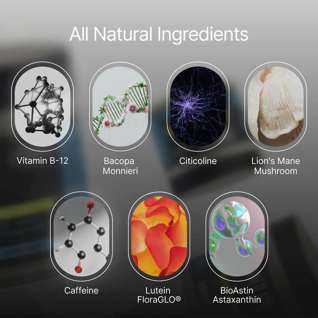 Xnergy A.M. Nootropic – Calm Energy, Focus & Motivation | Stoned Ape, Inc