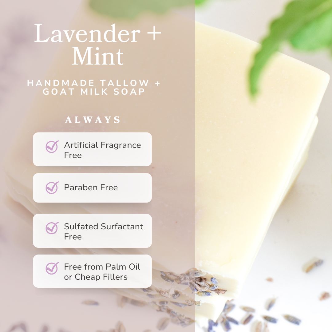 Lavender & Mint Tallow & Goat Milk Soap Bar – Calming Handmade Bar