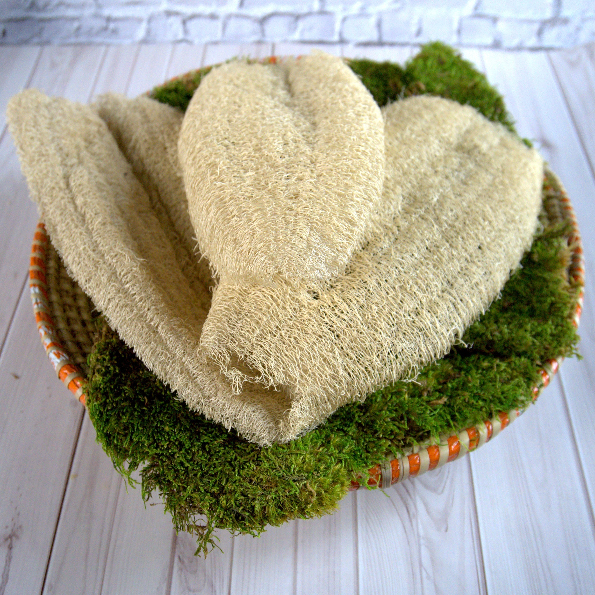 Ugandan Natural Loofah Exfoliator (Ekyangwe) – 10–15 Inches
