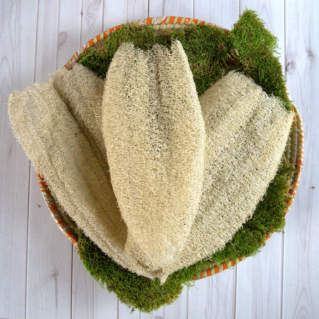 Ugandan Natural Loofah Exfoliator (Ekyangwe) – 10–15 Inches