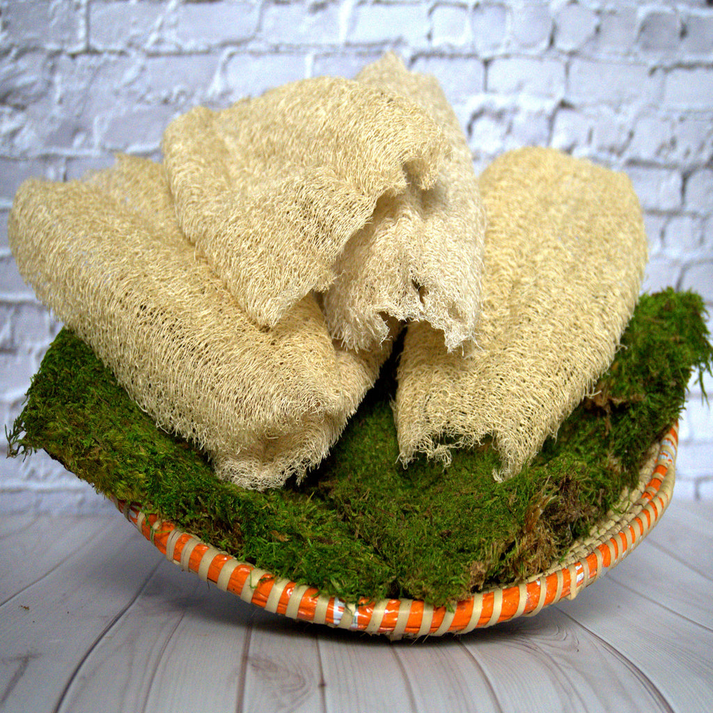 Ugandan Natural Loofah Exfoliator (Ekyangwe) – 10–15 Inches