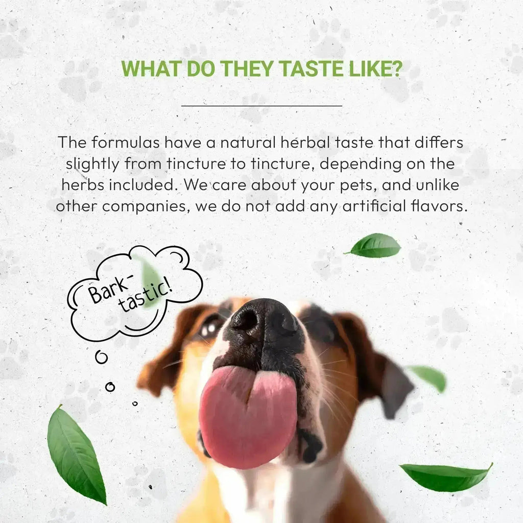 Wolf's Kidney - Healthy Kidney Function Support in Dogs