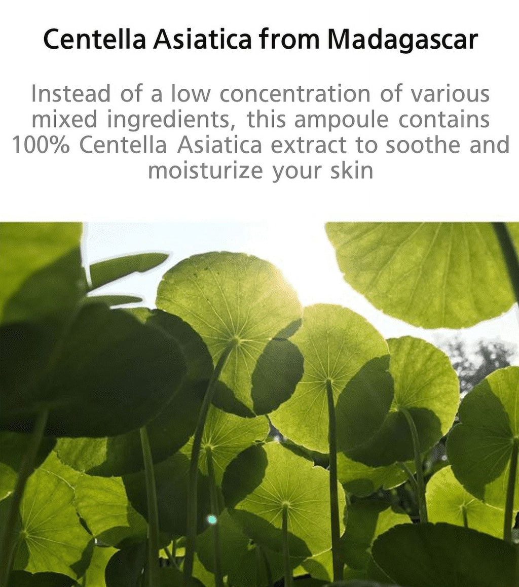 SKIN1004 Madagascar Centella Ampoule – Soothing & Hydrating Sensitive Skin Serum (100ml)