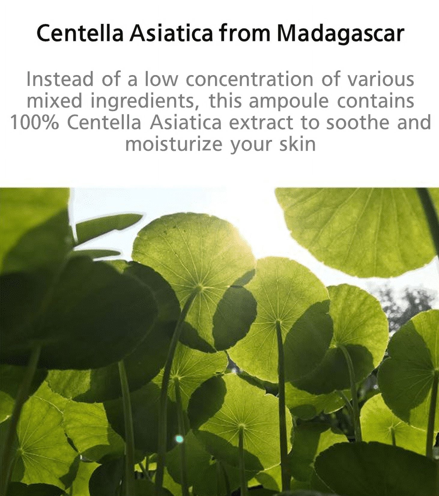 SKIN1004 Madagascar Centella Ampoule – Soothing & Hydrating Sensitive Skin Serum (100ml)