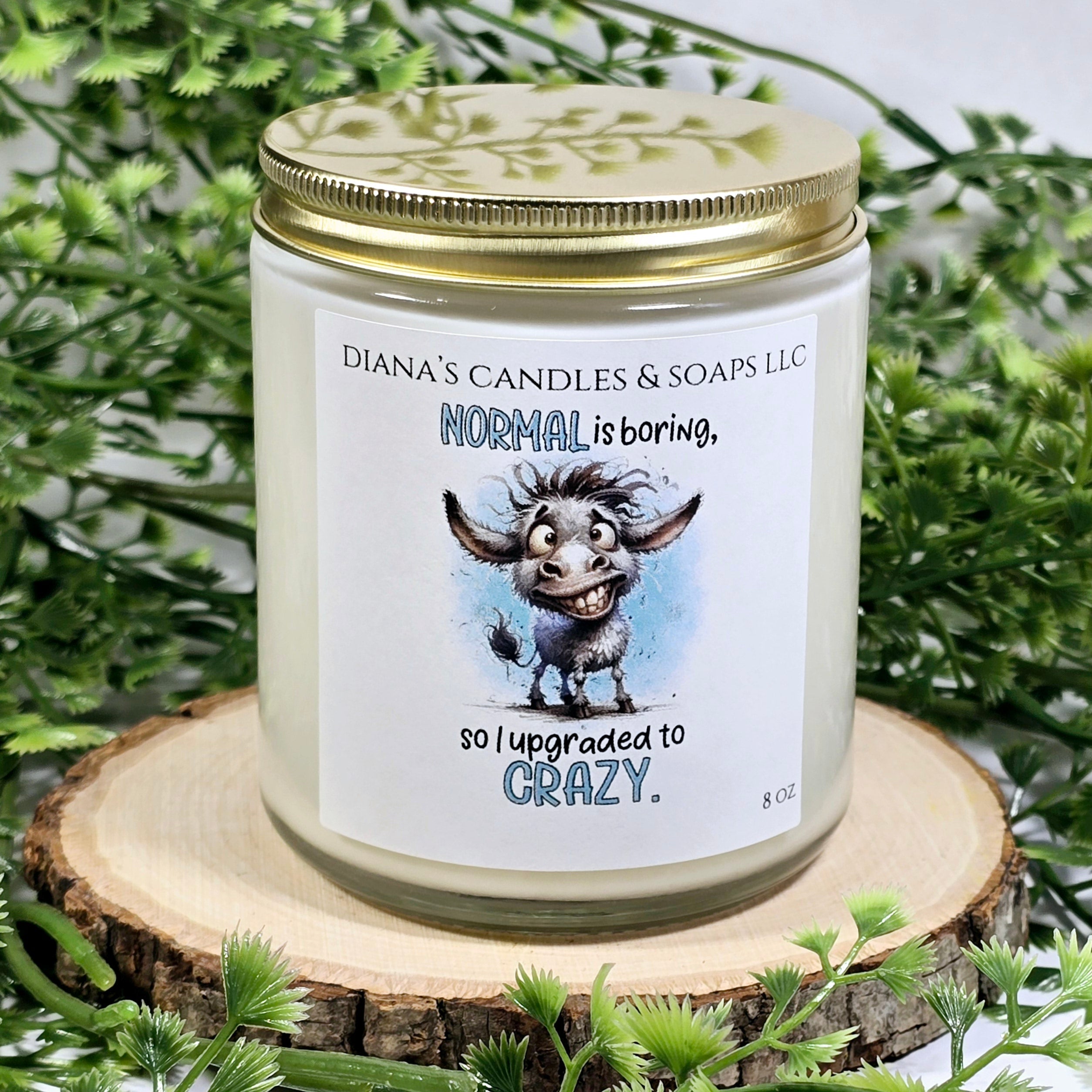"Normal Is Boring..." — Natural Soy Candle (8 oz)