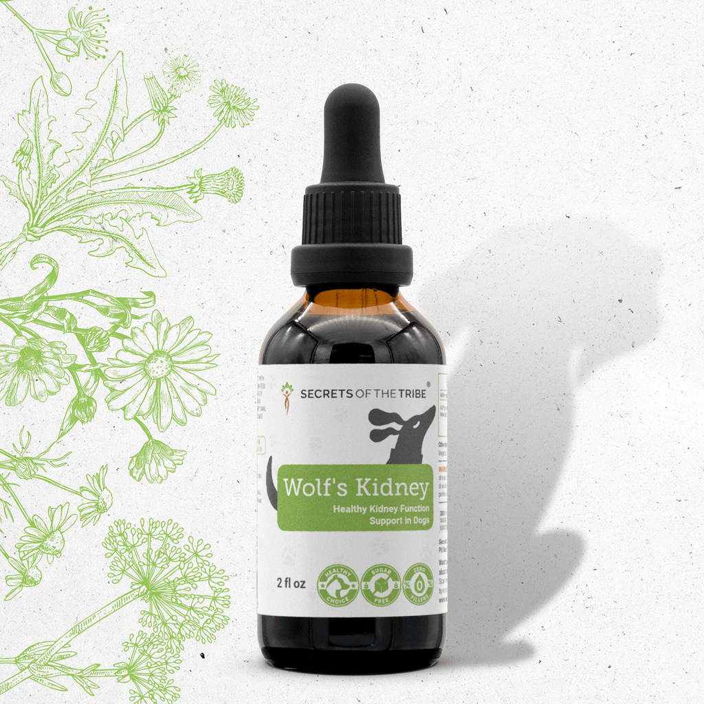 Wolf's Kidney - Healthy Kidney Function Support in Dogs