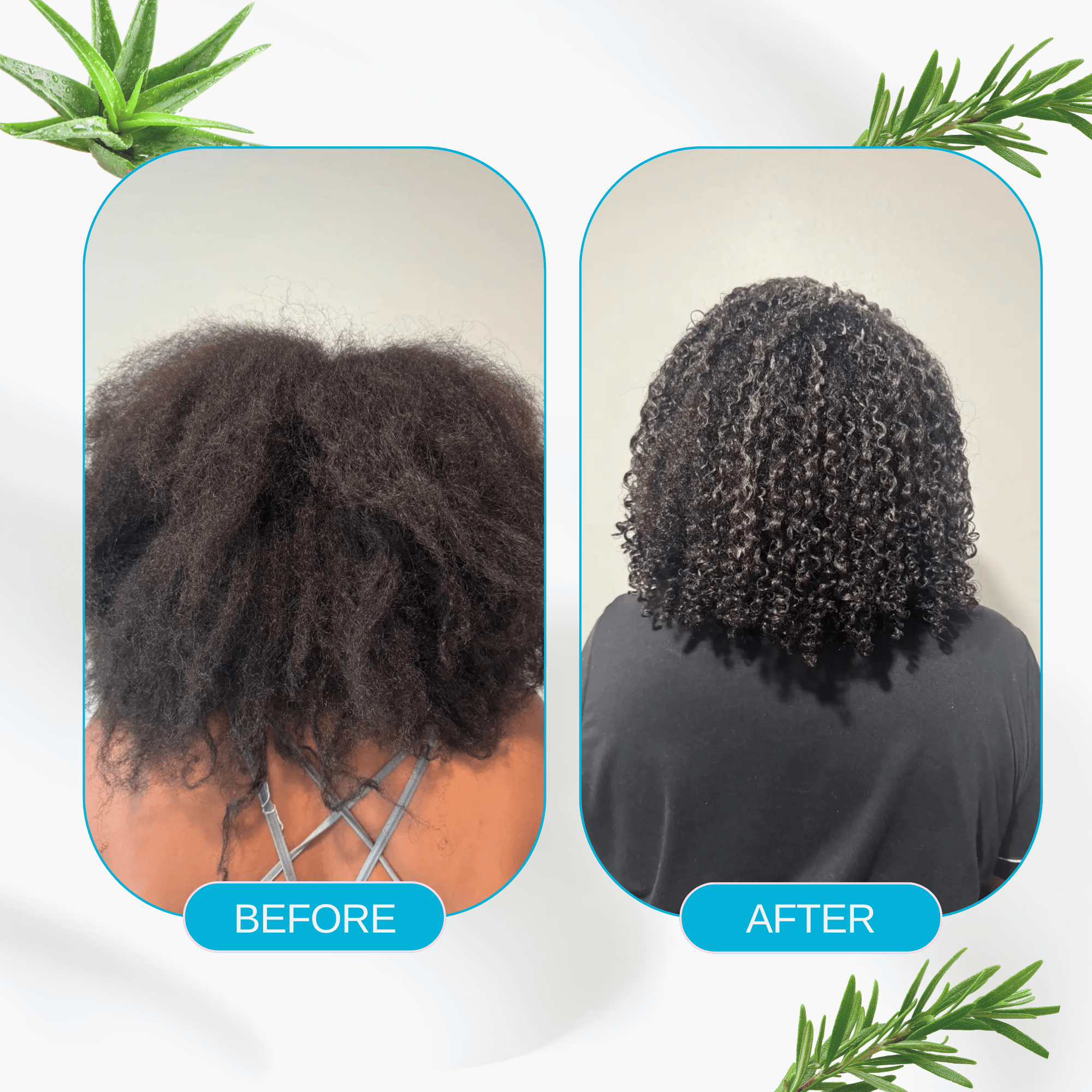 Low Porosity Hydrating Shampoo